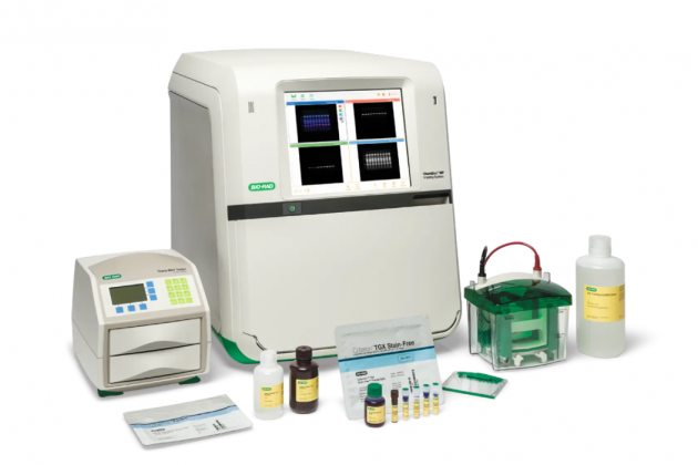 Bio Rad ChemiDoc 冷光影像分析系統 Imaging System