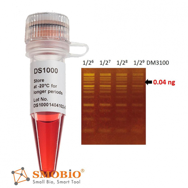 SMOBIO  DS1001 DNA Fluorescent Staining Dye (Green, 10,000X)外染