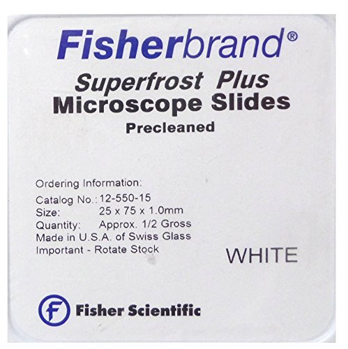 Superfrost Plus 正電荷粘附防脫載玻片 Microscope Slides